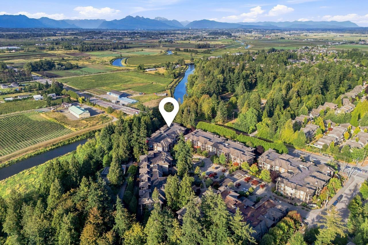 307 15175 36 AVENUE, Surrey