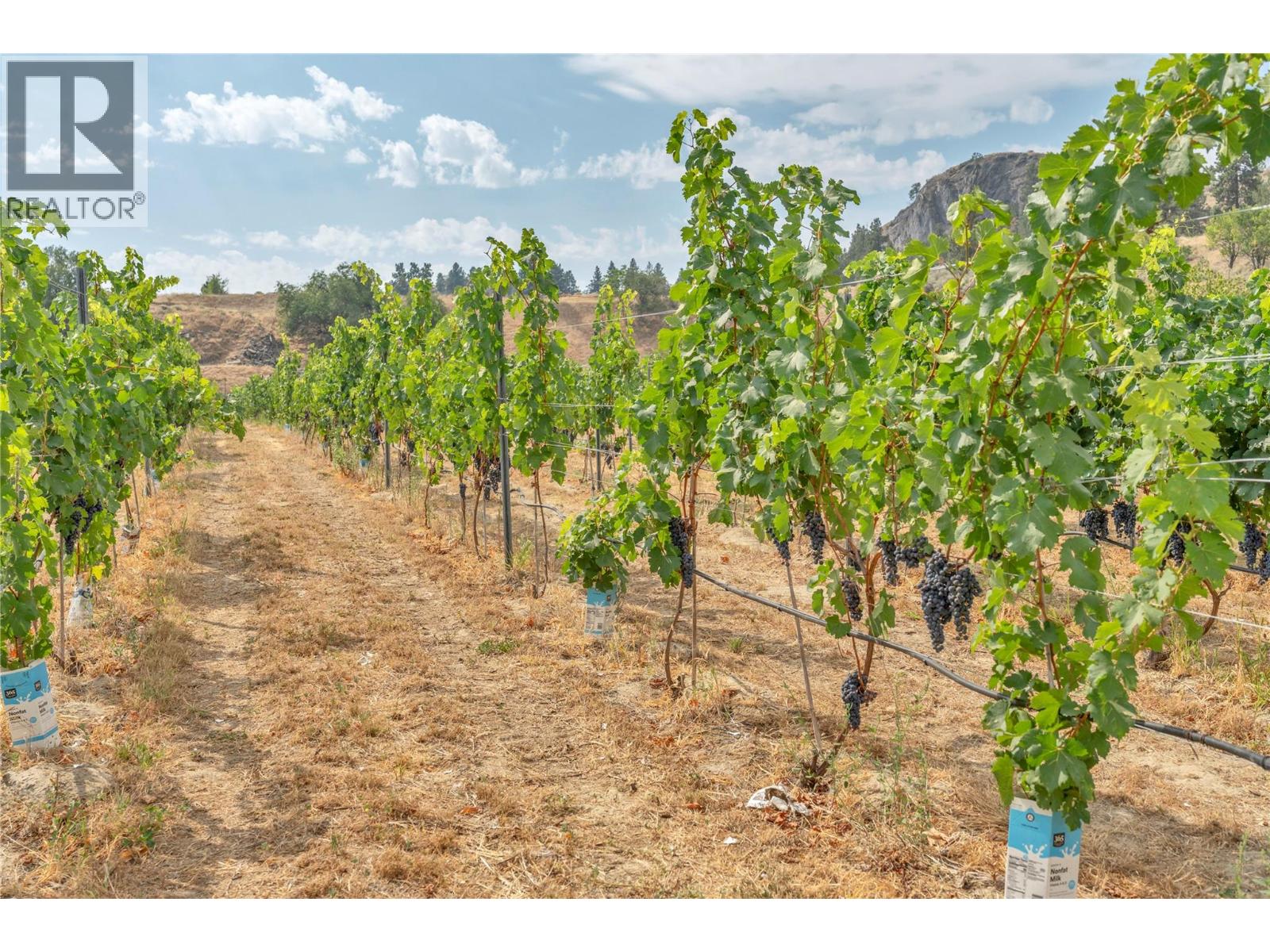 1170 CORBISHLEY Avenue, Penticton