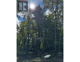 Lot #20 Crestview Drive, Greater Madawaska, ON K0J1H0 Photo 12