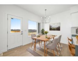 19123 20 Av Nw, Edmonton, AB T6M3E8 Photo 19