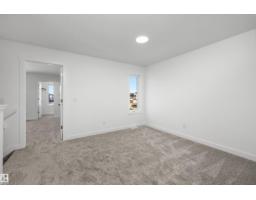 19123 20 Av Nw, Edmonton, AB T6M3E8 Photo 49