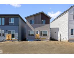 19123 20 Av Nw, Edmonton, AB T6M3E8 Photo 69