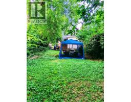 81 Grey Street, Brantford, ON N3T2T4 Photo 42