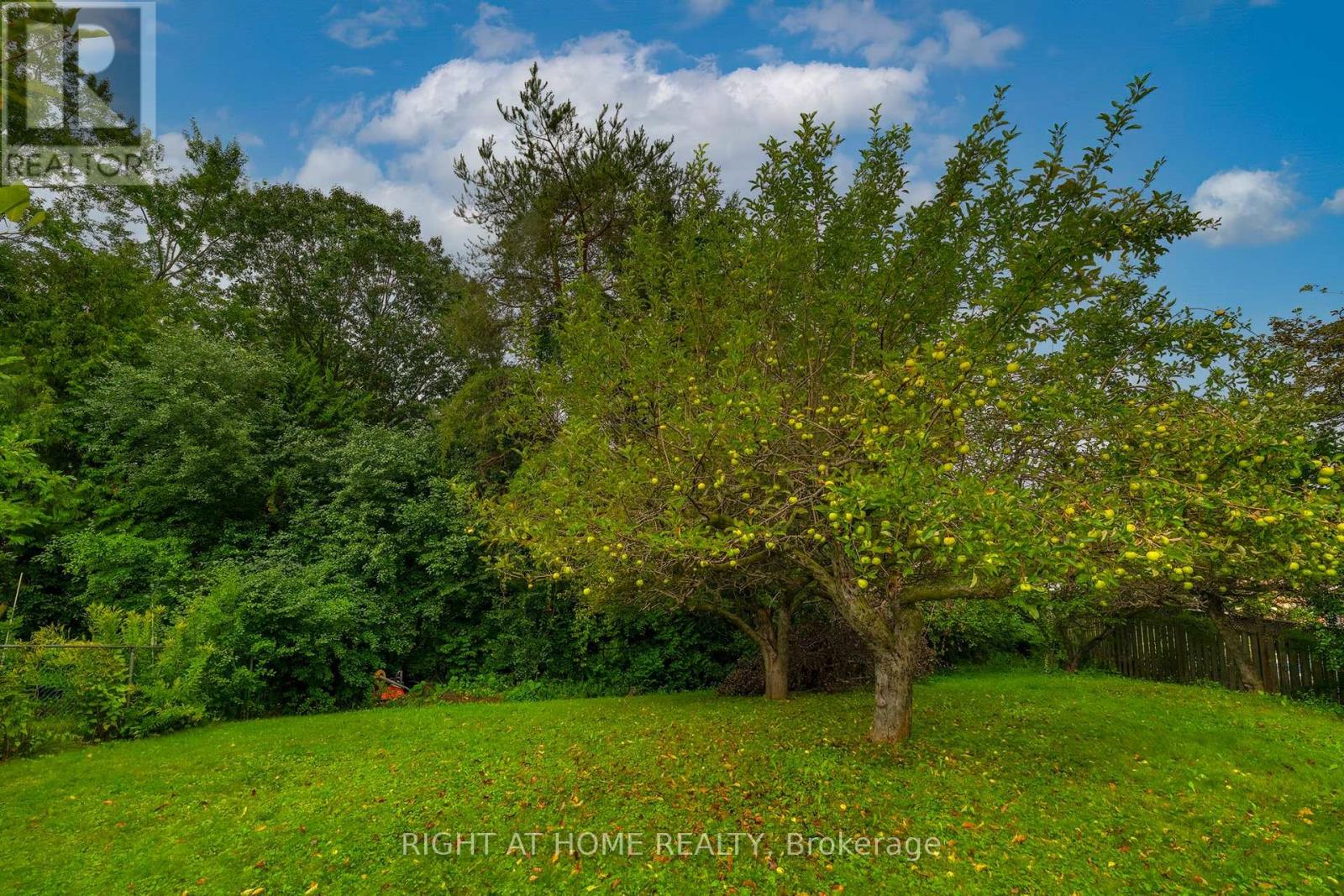 236 SHAUGHNESSY BOULEVARD - 40