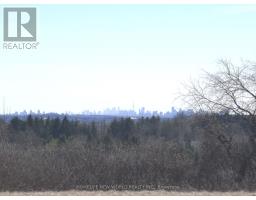 36 Country Heights Drive, Richmond Hill, ON L4E3M8 Photo 23