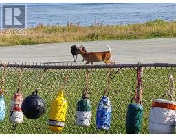 1836 Caribou Island Road, Caribou Island, NS B0K1H0 Photo 11