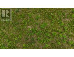 1191 Hay Cove Road, Lochside, NS B0E3B0 Photo 15