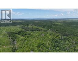 1191 Hay Cove Road, Lochside, NS B0E3B0 Photo 13