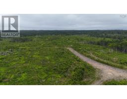 1191 Hay Cove Road, Lochside, NS B0E3B0 Photo 26