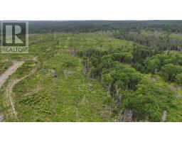 1191 Hay Cove Road, Lochside, NS B0E3B0 Photo 27
