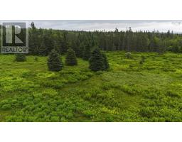 1191 Hay Cove Road, Lochside, NS B0E3B0 Photo 8