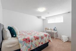 250 Mosselle Drive, Winnipeg, MB R2P1N7 Photo 27