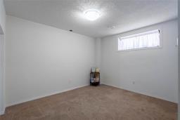 250 Mosselle Drive, Winnipeg, MB R2P1N7 Photo 32