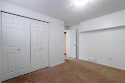 250 Mosselle Drive, Winnipeg, MB R2P1N7 Photo 33