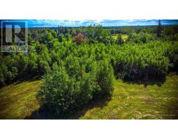 Lot 5 Gulf Shore Road, Gulf Shore, NS B0K1L0 Photo 26
