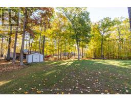 37 Riverside Drive, Trent Hills, ON K0L1L0 Photo 43