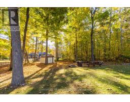 37 Riverside Drive, Trent Hills, ON K0L1L0 Photo 45