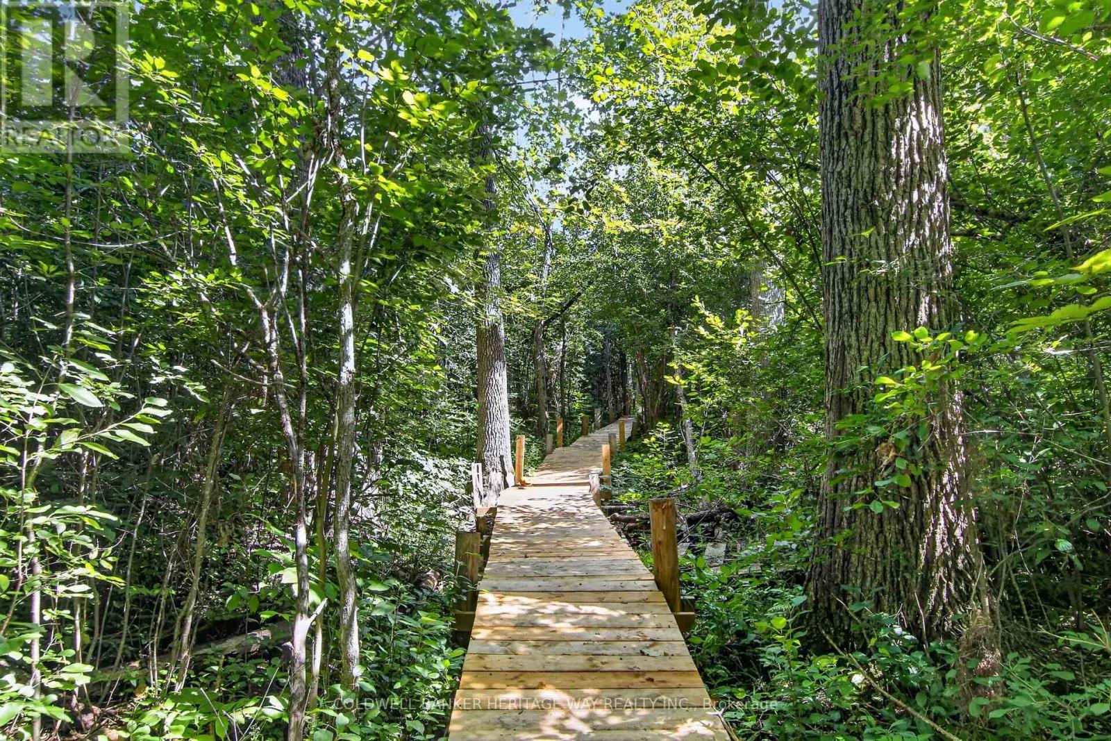 515 BALMORAL DRIVE - Image 47