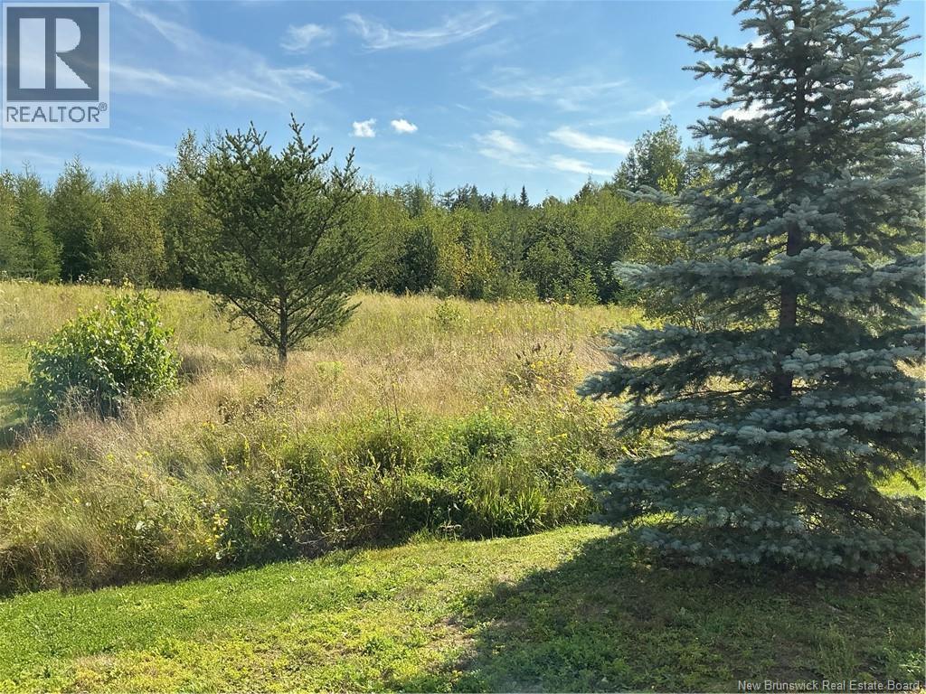 125 Monarch Road - Image 5