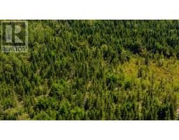 Lot 2 Aylesford Road, Morristown, NS B0P1C0 Photo 13