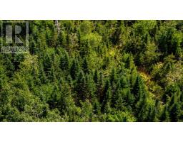 Lot 4 Aylesford Road, Morristown, NS B0P1C0 Photo 14