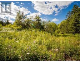 Lot A3 Aylesford Road, Lake Paul, NS B0P1C0 Photo 10
