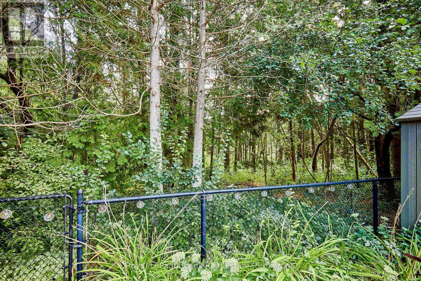 78 BEACHGROVE CRESCENT - 34