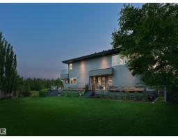 703 Dalhousie Wy Nw, Edmonton, AB T6M2V3 Photo 57