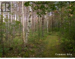 7 Colonial Arms Drive, Deep Brook, NS B0S1J0 Photo 19