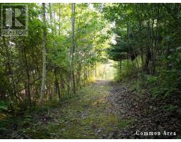 7 Colonial Arms Drive, Deep Brook, NS B0S1J0 Photo 13