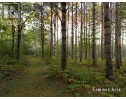 7 Colonial Arms Drive, Deep Brook, NS B0S1J0 Photo 22