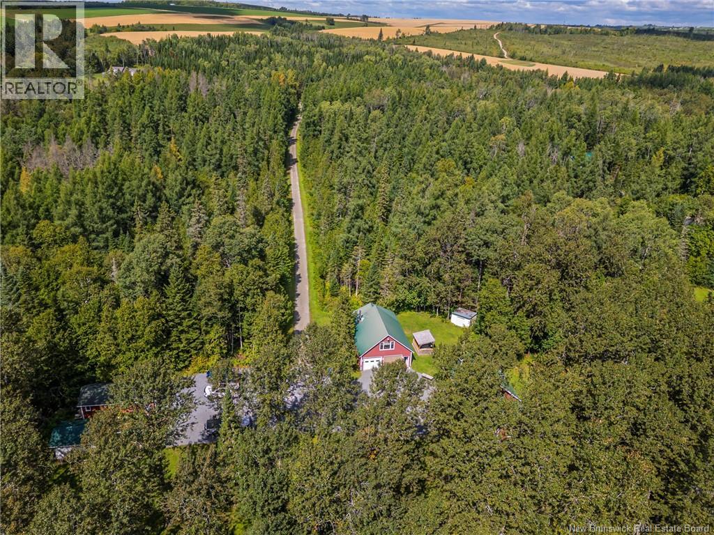 38 CH Camp - Image 12