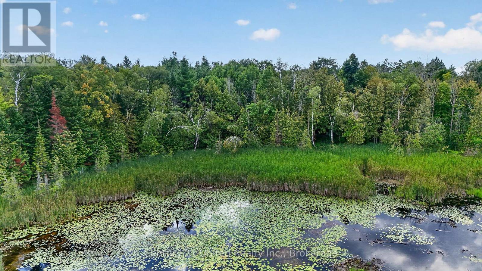 2619 BUCKHORN ROAD - 47