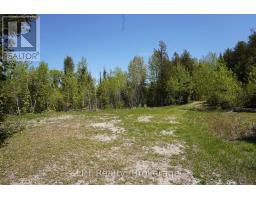 Pt Lt 36 Walter Charman Drive, Northern Bruce Peninsula, ON N0H2M0 Photo 10