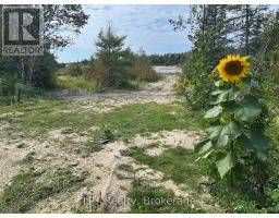 Pt Lt 36 Walter Charman Drive, Northern Bruce Peninsula, ON N0H2M0 Photo 24