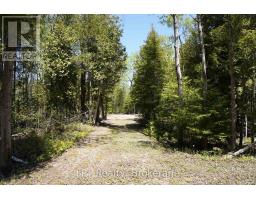 Pt Lt 36 Walter Charman Drive, Northern Bruce Peninsula, ON N0H2M0 Photo 22