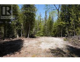 Pt Lt 36 Walter Charman Drive, Northern Bruce Peninsula, ON N0H2M0 Photo 23