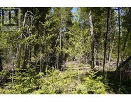 Pt Lt 36 Walter Charman Drive, Northern Bruce Peninsula, ON N0H2M0 Photo 20