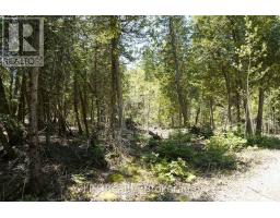 Pt Lt 36 Walter Charman Drive, Northern Bruce Peninsula, ON N0H2M0 Photo 21