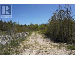 Pt Lt 36 Walter Charman Drive, Northern Bruce Peninsula, ON N0H2M0 Photo 15