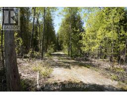 Pt Lt 36 Walter Charman Drive, Northern Bruce Peninsula, ON N0H2M0 Photo 18