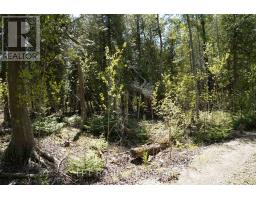 Pt Lt 36 Walter Charman Drive, Northern Bruce Peninsula, ON N0H2M0 Photo 19