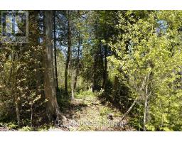 Pt Lt 36 Walter Charman Drive, Northern Bruce Peninsula, ON N0H2M0 Photo 6