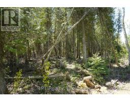 Pt Lt 36 Walter Charman Drive, Northern Bruce Peninsula, ON N0H2M0 Photo 7