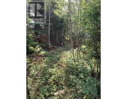 Lot 4a Hunter Road, Wentworth Valley, NS B0M1Z0 Photo 10