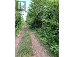 Lot 4a Hunter Road, Wentworth Valley, NS B0M1Z0 Photo 12