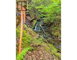 Lot 4b Hunter Road, Wentworth Valley, NS B0M1Z0 Photo 13