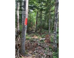 Lot 4b Hunter Road, Wentworth Valley, NS B0M1Z0 Photo 8