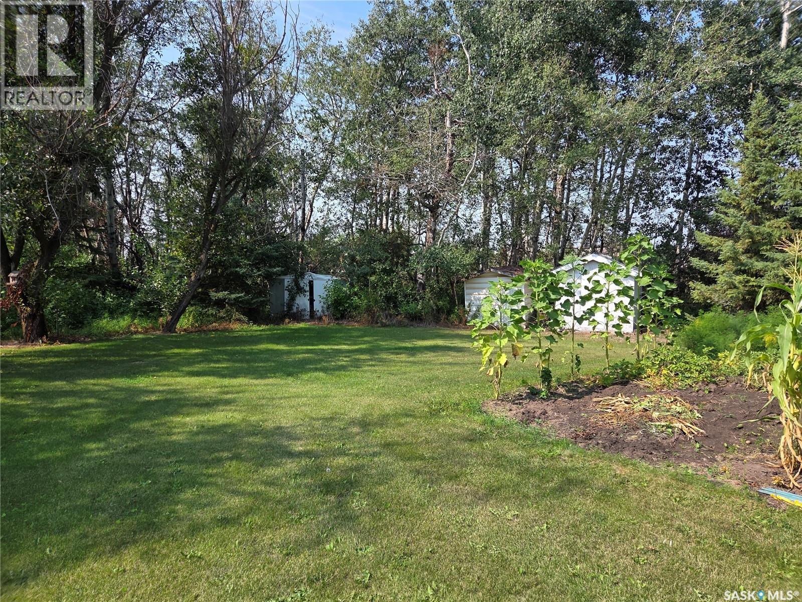 159 Birch ROAD - 4