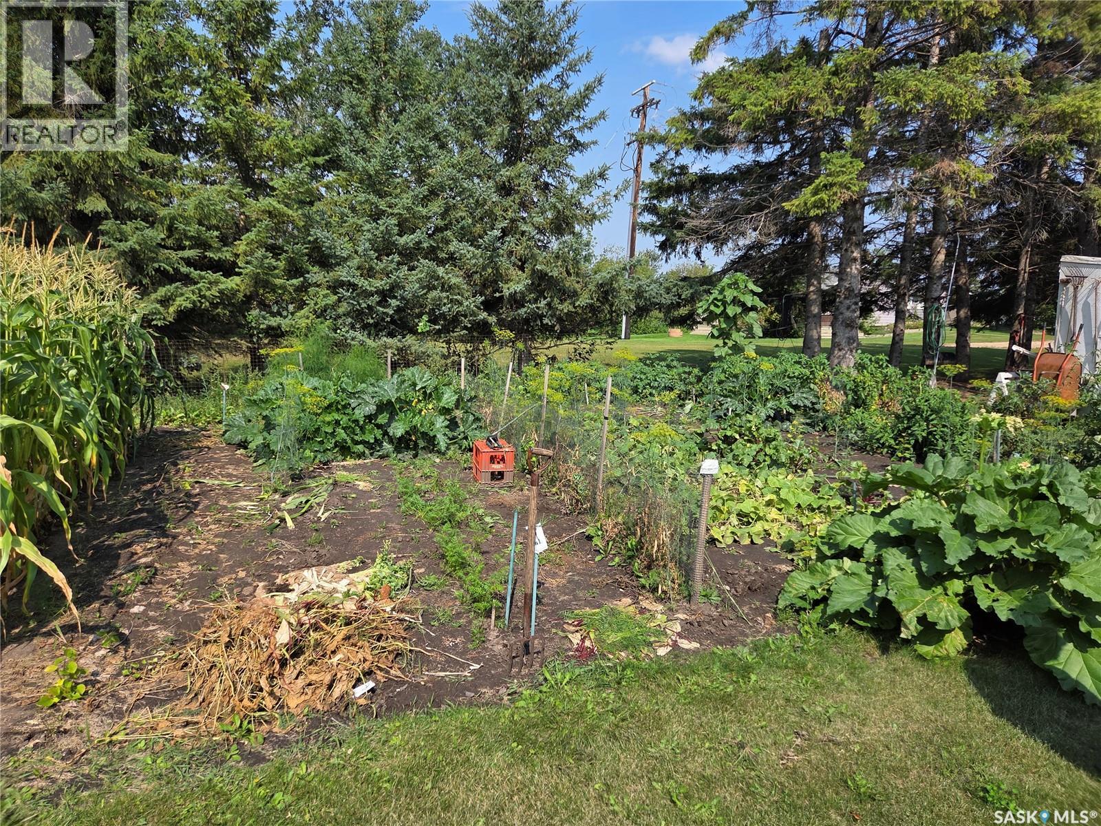 159 Birch ROAD - 5
